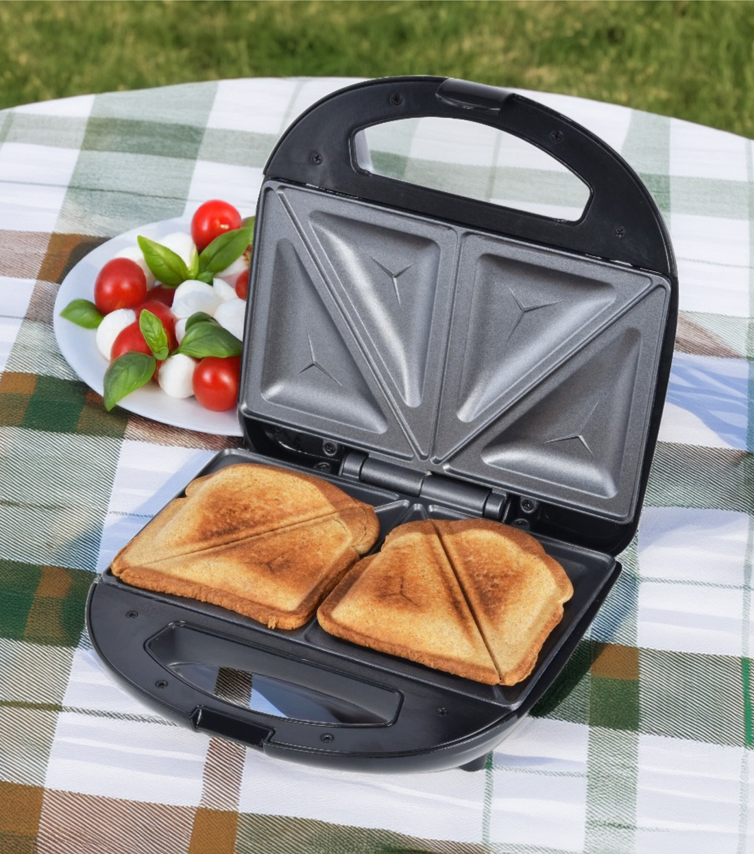 How to Host the Ultimate Picnic with Toastmaster