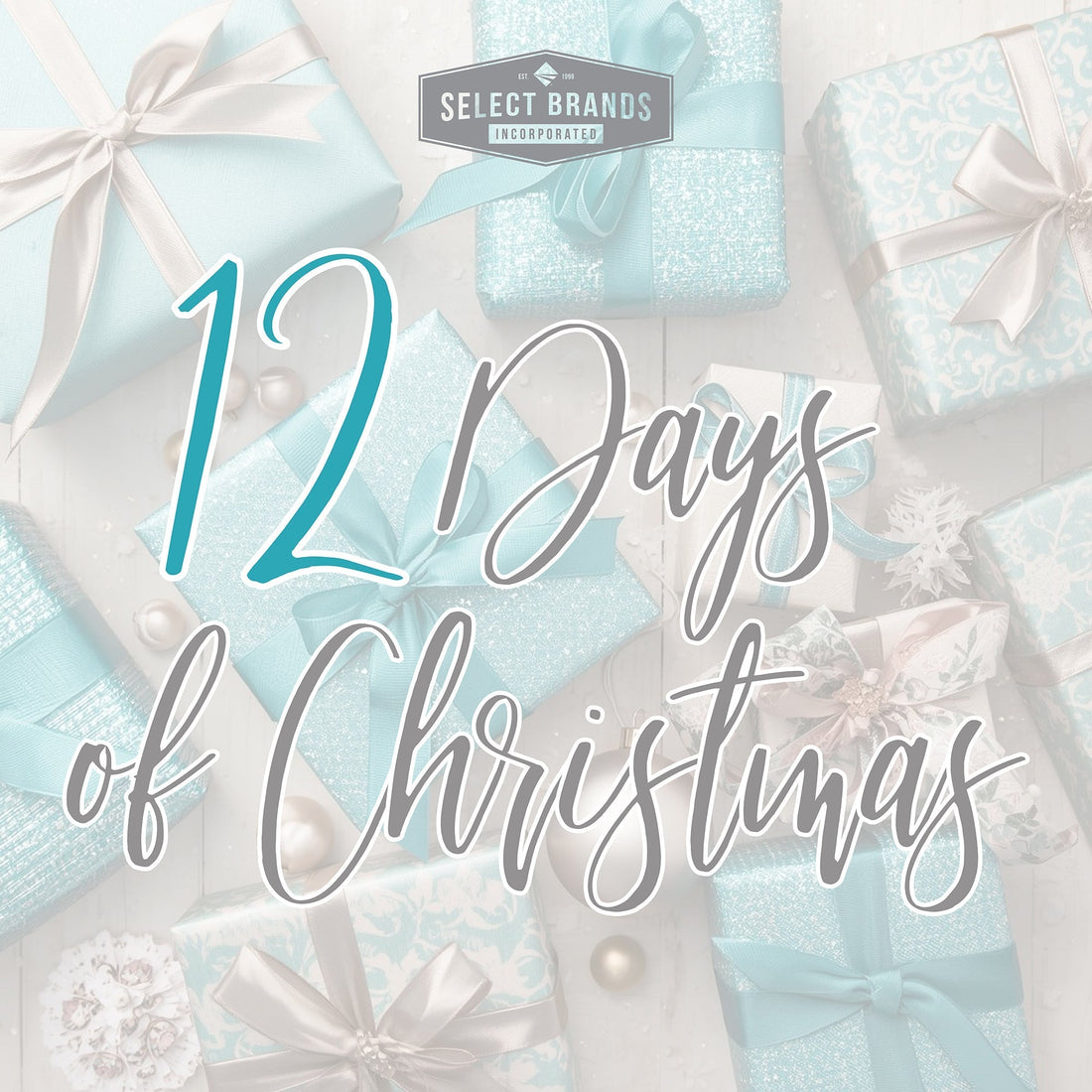 Unwrap 12 Days of Christmas Savings with Exclusive Kitchen Deals